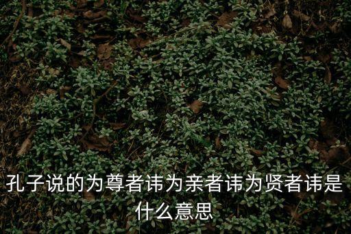 孔子說的為尊者諱為親者諱為賢者諱是什么意思
