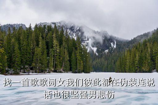 找一首歌歌詞女我們彼此都在偽裝連說話也很堅強男悲傷