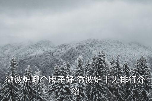 微波爐哪個牌子好 微波爐十大排行介紹