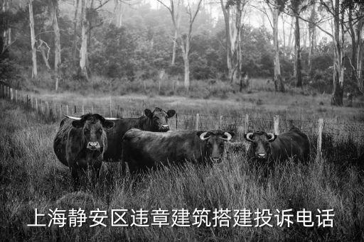 上海靜安區(qū)違章建筑搭建投訴電話