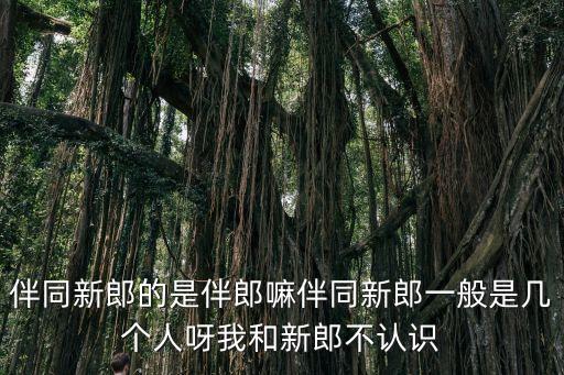 伴同新郎的是伴郎嘛伴同新郎一般是幾個(gè)人呀我和新郎不認(rèn)識(shí)