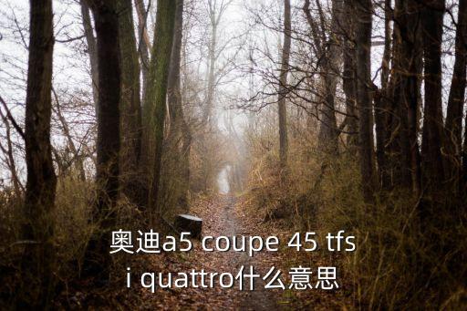coupe啥意思，奧迪a5 coupe 45 tfsi quattro什么意思