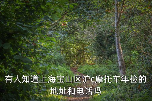 有人知道上海寶山區滬c摩托車年檢的地址和電話嗎