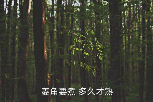 菱角煮多久能熟,水生植物菱角的營養(yǎng)價值