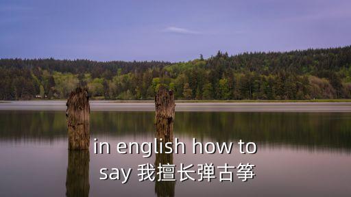 in english how to say 我擅長彈古箏