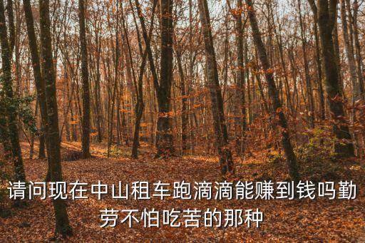 請問現在中山租車跑滴滴能賺到錢嗎勤勞不怕吃苦的那種