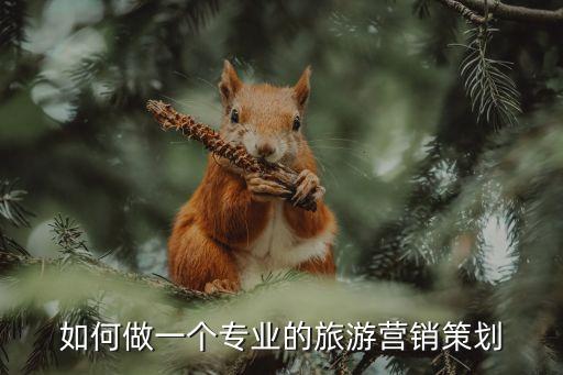 如何做一個專業的旅游營銷策劃
