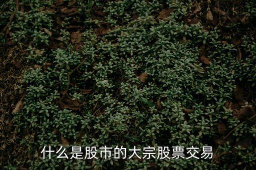 股票大宗交易，什么是股市的大宗股票交易