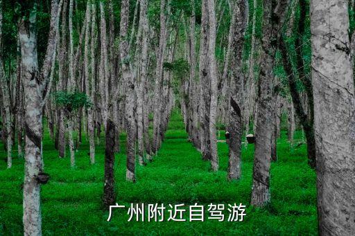廣州附近自駕游