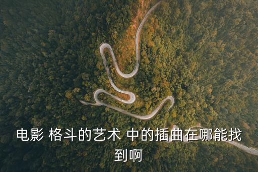 電影 格斗的藝術 中的插曲在哪能找到啊