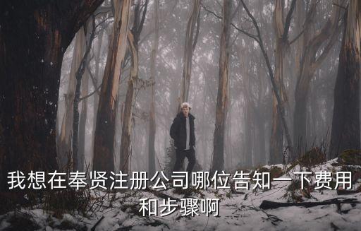 我想在奉賢注冊公司哪位告知一下費用和步驟啊