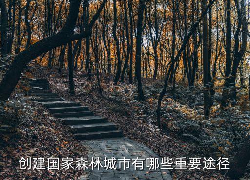 創建國家森林城市，創建國家森林城市有哪些重要途徑
