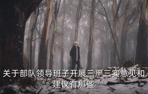 關(guān)于部隊領(lǐng)導班子開展三嚴三實意見和建議有那些
