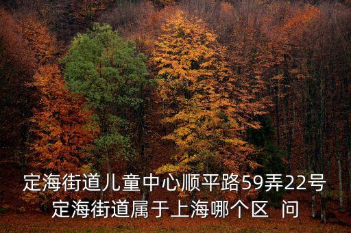 上海市楊浦區順平路59弄學校，想知道 上海市上海順平路59弄在哪