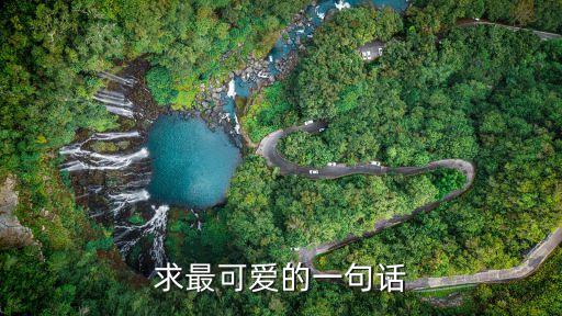 求最可愛的一句話