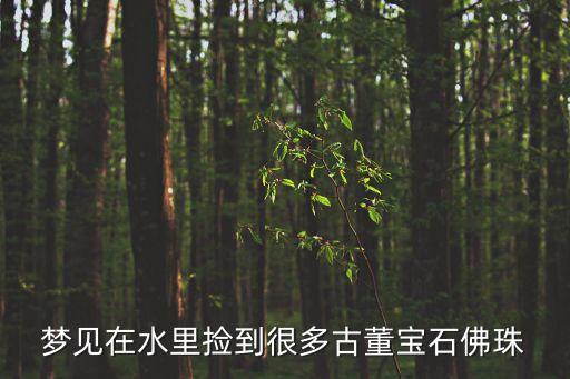 夢(mèng)見(jiàn)在水里撿到很多古董寶石佛珠