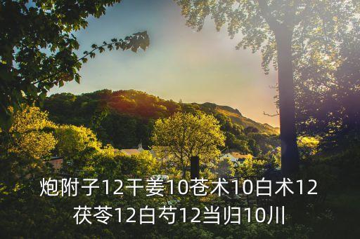 炮附子12干姜10蒼術10白術12茯苓12白芍12當歸10川