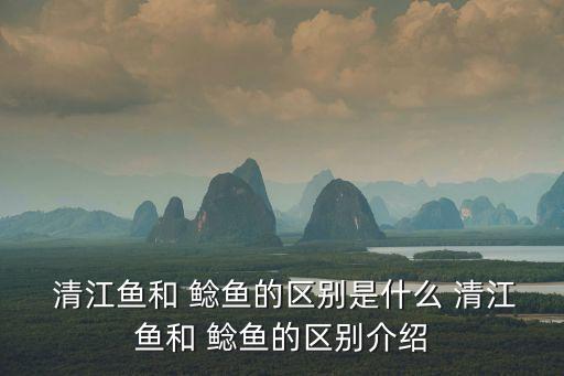清江魚和鯰魚的區(qū)別,湖北清江魚有何特色?