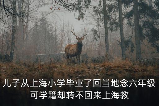 上海市教育教研室主任徐淀芳，上海精銳名師陪讀答疑預科接軌一線教師執(zhí)教高中生物難點