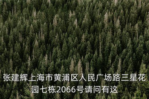 上海市啟東商會張建輝，有多少人叫張建輝
