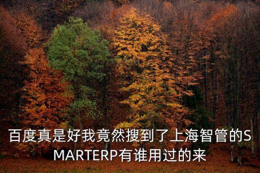 百度真是好我竟然搜到了上海智管的SMARTERP有誰(shuí)用過(guò)的來(lái)