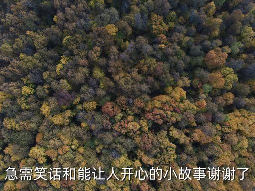 開心故事，開心的故事500字作文