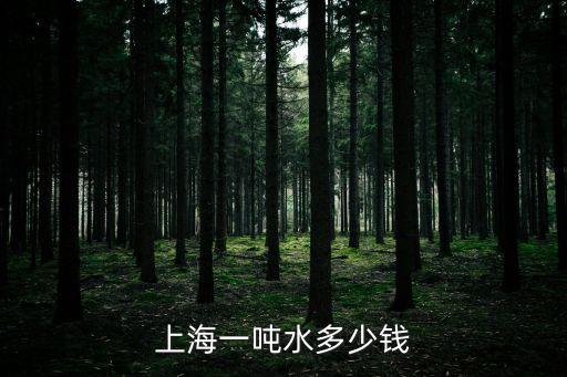 上海市商業用高價水多少錢一噸，上海一噸水多少錢