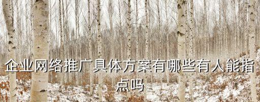 企業網絡推廣具體方案有哪些有人能指點嗎