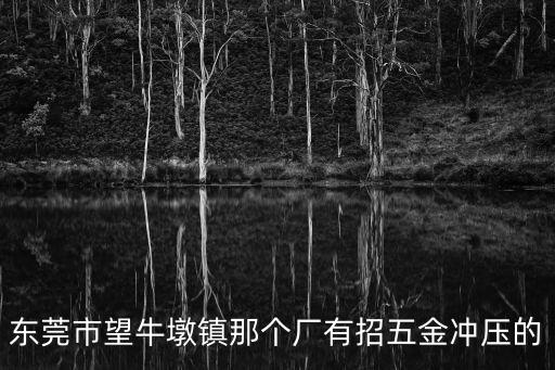 東莞志榮五金有限公司招聘信息，東莞長安鎮哪里招自動車床師傅