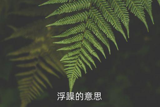 浮躁的意思