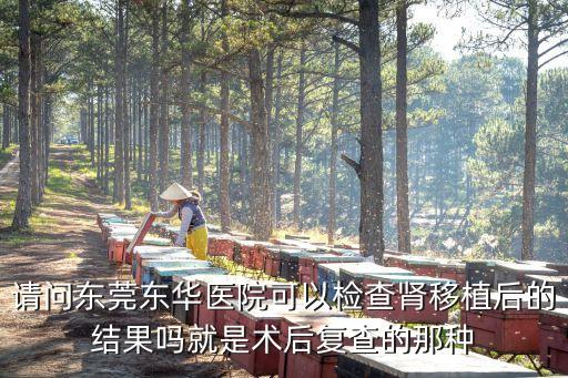 請問東莞東華醫院可以檢查腎移植后的結果嗎就是術后復查的那種