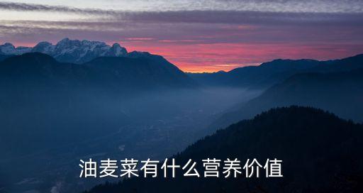 油麥菜的營(yíng)養(yǎng)價(jià)值，油麥菜有什么營(yíng)養(yǎng)價(jià)值