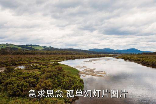 急求思念 孤單幻燈片圖片