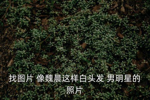 白發圖片，我想要一些白發美男子圖片