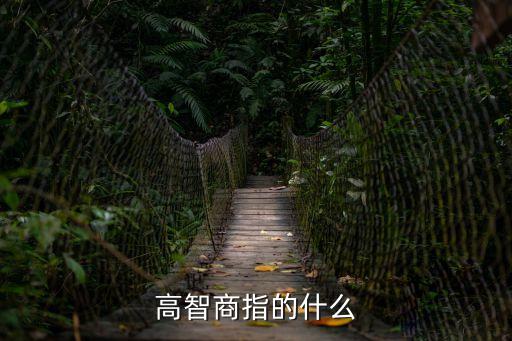 高智商，什么是高智商