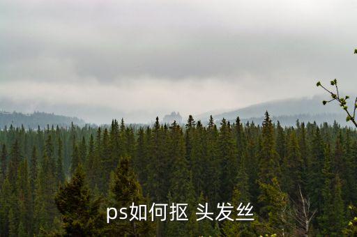 ps摳頭發絲,第二集:第一集:從頭發中挑選適合你的人