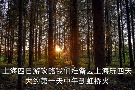 上海市區(qū)四日游攻略，上海四日游攻略我們準(zhǔn)備去上海玩四天大約第一天中午到虹橋火