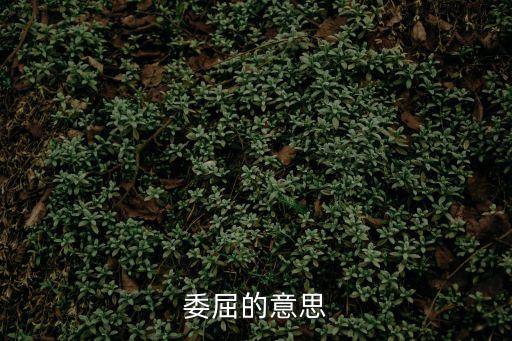 委屈拼音，委屈讀音是什么