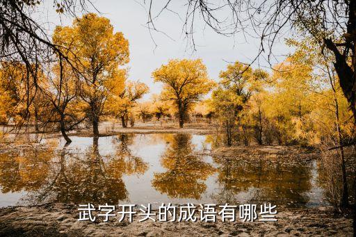 武字開頭的成語有哪些