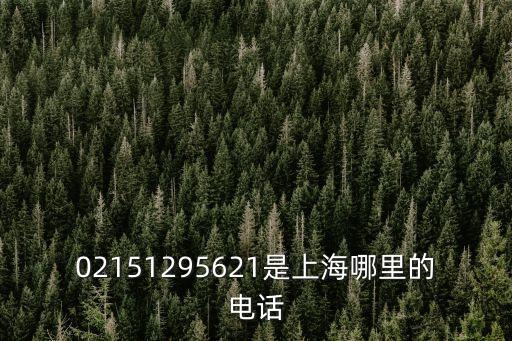 02151295621是上海哪里的電話