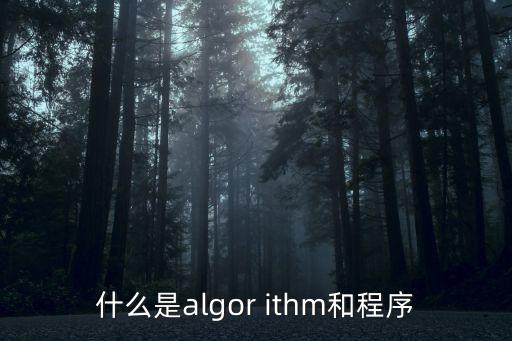 什么是algor ithm和程序