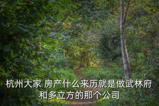 杭州大家 房產什么來歷就是做武林府和多立方的那個公司