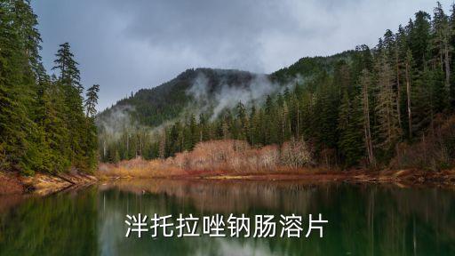 泮托拉唑鈉腸溶片