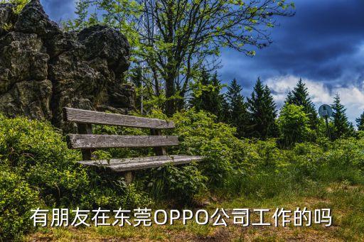 東莞樂福苑，東莞冼沙三協精工廠現在正規了嗎