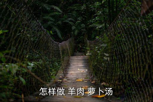 怎樣做 羊肉 蘿卜湯