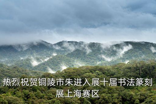 熱烈祝賀銅陵市朱進入展十屆書法篆刻展上海賽區