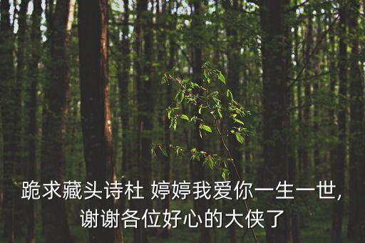 跪求藏頭詩杜 婷婷我愛你一生一世,謝謝各位好心的大俠了