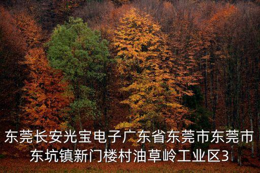 東莞長安光寶電子廣東省東莞市東莞市東坑鎮新門樓村油草嶺工業區3