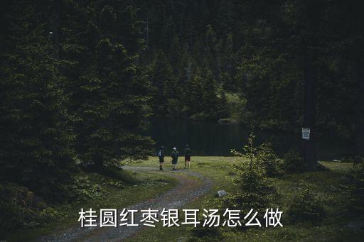 桂圓紅棗銀耳湯怎么做