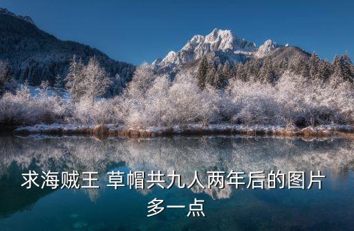 草帽圖片，誰(shuí)知道有哪些最詳細(xì)最清楚的草帽路飛海賊團(tuán)的資料